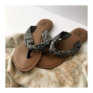 ‼️ Lucky Brand Thong Sandals